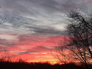 IMG_3082