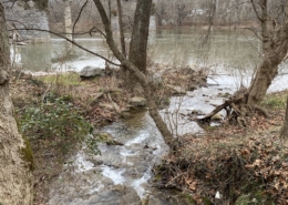 stream flowing into the Potomac river
